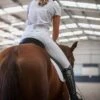 Hannah High Waisted Competition White Breech By QJ Riding Wear -Equestrian equipment 212174934 10158116065537344 5375502930951884262 n 1 71ebc098 3c73 439a bc83 1dd999cade5b