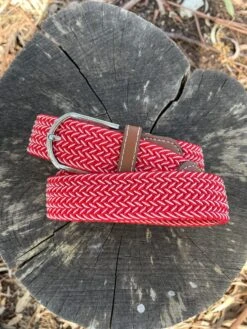 QJ Elasticised Belts -Equestrian equipment 272642030 356893386004652 3399531314907183187 n ca2cb0d3 19f8 4447 9b3f 422e6fe682ff