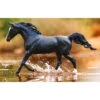 Breyer Traditional Kb Omega Fahim Arabian -Equestrian equipment Breyer Traditional Kb Omega Fahim Arabian
