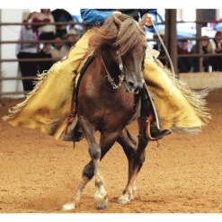 Breyer Traditional Native Sun Morgan Quest -Equestrian equipment Breyer Traditional Morgan Quest Native Sun 3