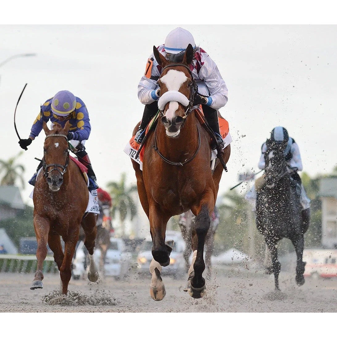 Breyer Traditional Thoroughbred - Tiz The Law 4 Breyer Traditional Thoroughbred - Tiz The Law - Image 2