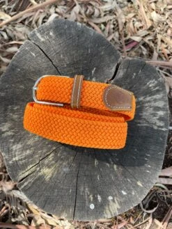 QJ Elasticised Belts -Equestrian equipment OrangeBelt 8452bf60 0f67 4db2 96f8 7fd9f586ac03