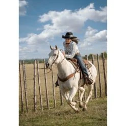 Resistol Ride Safe Helmet Black 13 Resistol Ride Safe Helmet Black -Equestrian equipment RRS LS4sm 2e64005a c9b1 4ce8 8776 9c455225df7f