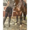 Black HLH Equestrian Apparel Comfort 1st Schooling Tights 2 Black HLH Equestrian Apparel Comfort 1st Schooling Tights -Equestrian equipment hlh equestrian apparel comfort 1st schooling tights in black southern sport horses