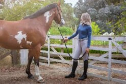 Light Grey Kate Breech By QJ Riding Wear -Equestrian equipment katedovegrey 9a090d8c f2db 4ecb b35c 63664bb6536d