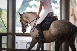 QJ Riding Wear Lauren White/Grey Seat Competition Breech