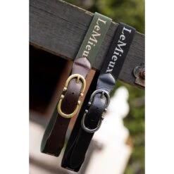 LeMieux Elasticated Belt -Equestrian equipment lemieux elasticated belt southern sport horses 8