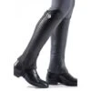 Premier Equine Lexaria Leather Half Chaps -Equestrian equipment premier equine lexaria leather half chaps southern sport horses